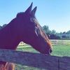 meagan_m2003